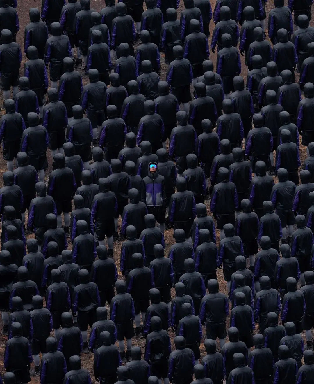 Thibaut Grevet : Visionnaire qui redéfini l'art de la photographie - HYTRAPE