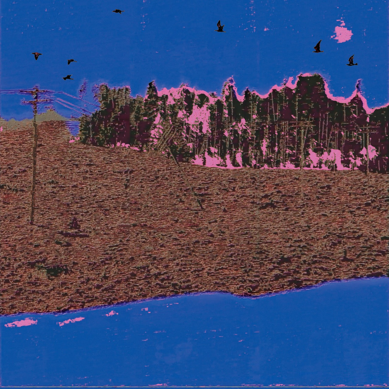 L’Évolution de Luther: Analyse de ‘GARÇON’ Vers ‘EXIT’ - HYTRAPE