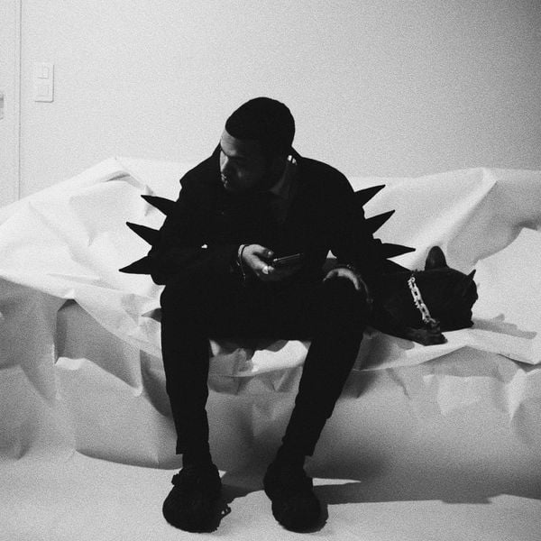 Implaccable : Un vent d'originalité avec 'So Vladdy Shit' - HYTRAPE