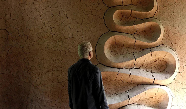 Andy Goldsworthy, le Poète des Pierres et du Temps qui Passe