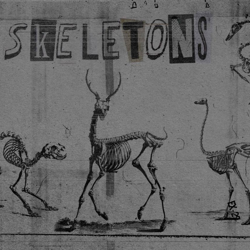 Aperçu principal de +80 Skeletons Elements, ressource Vectors par HYTRAPE