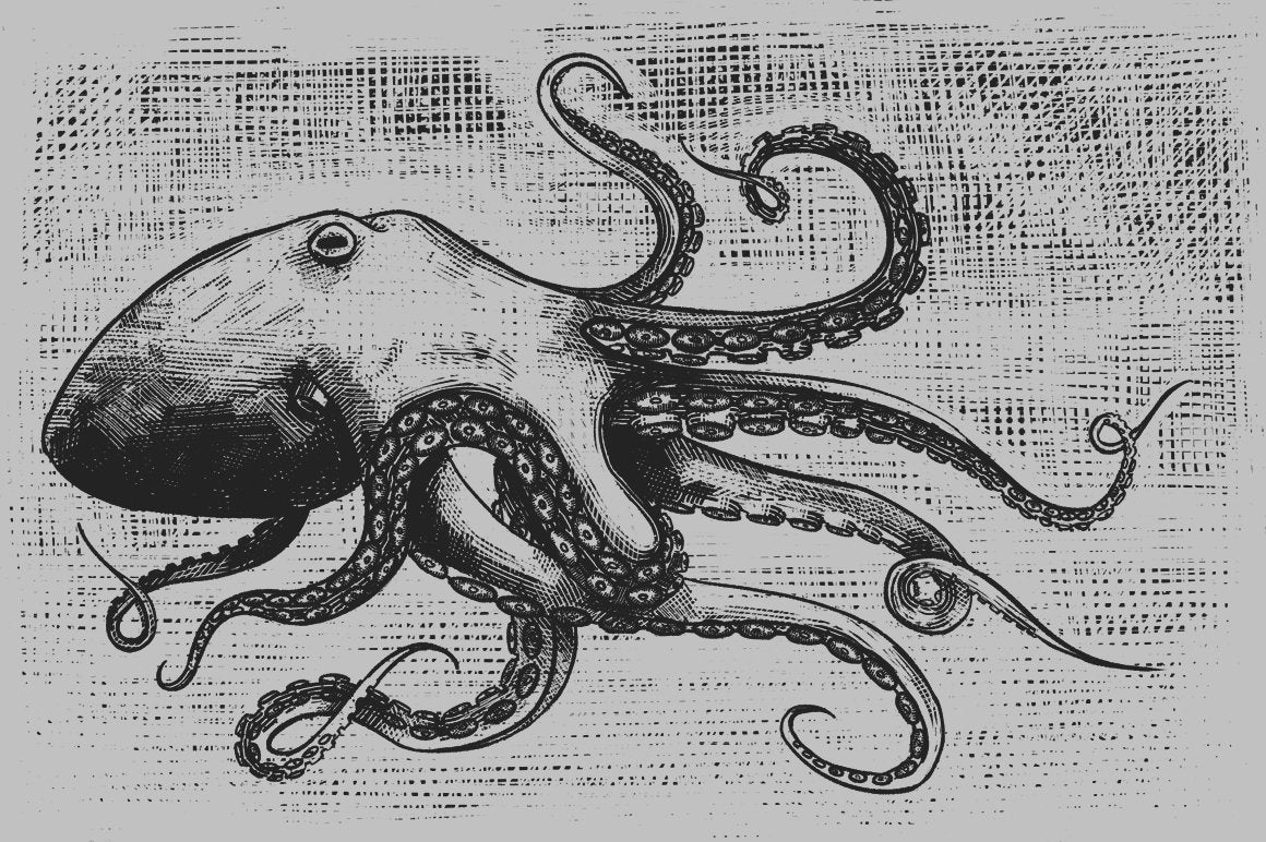 Preview 5 of 7 of Vintage Engraving Procreate Brushes, digital creative resource by MiksKS