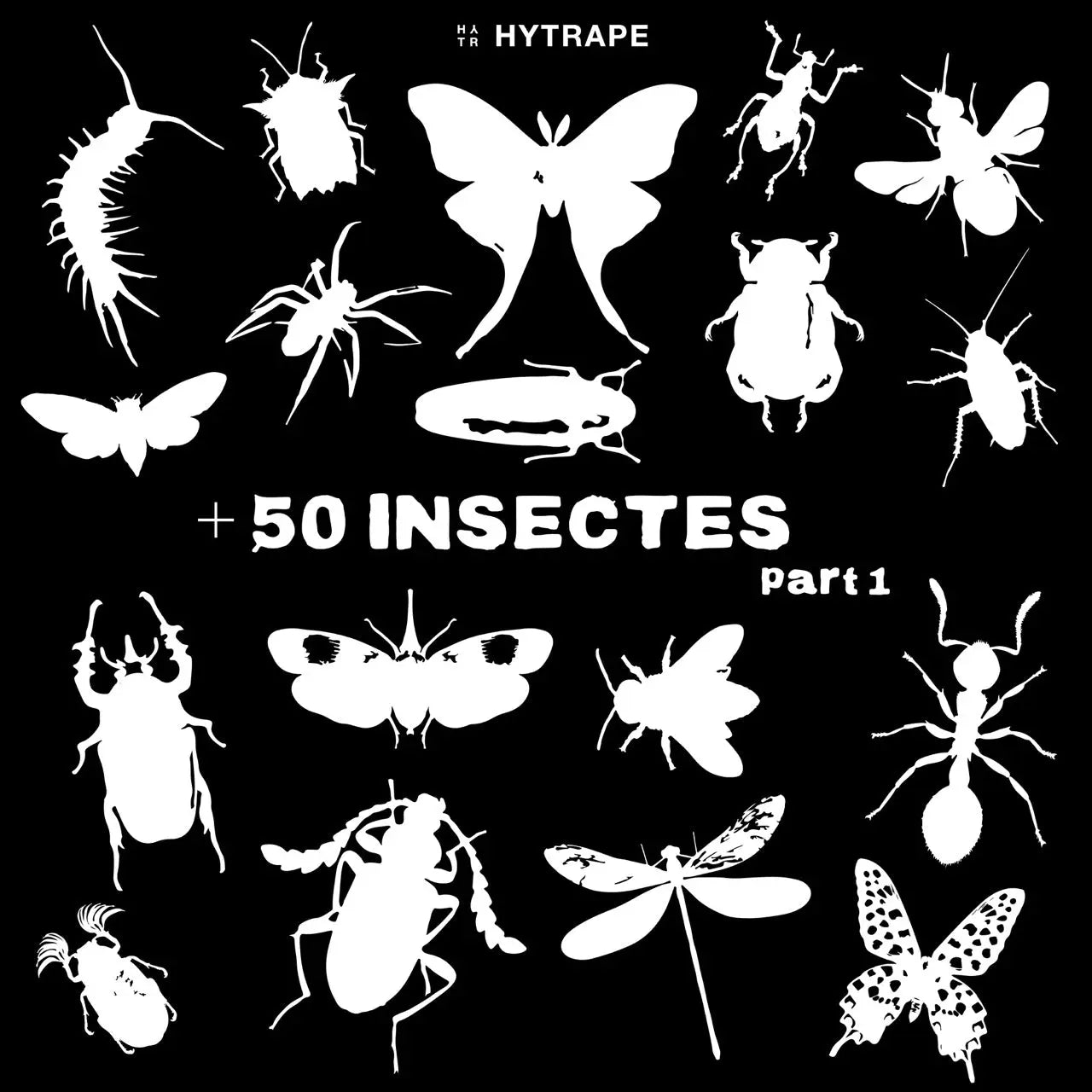 +50 INSECTES VECTORISÉS HYTRAPE