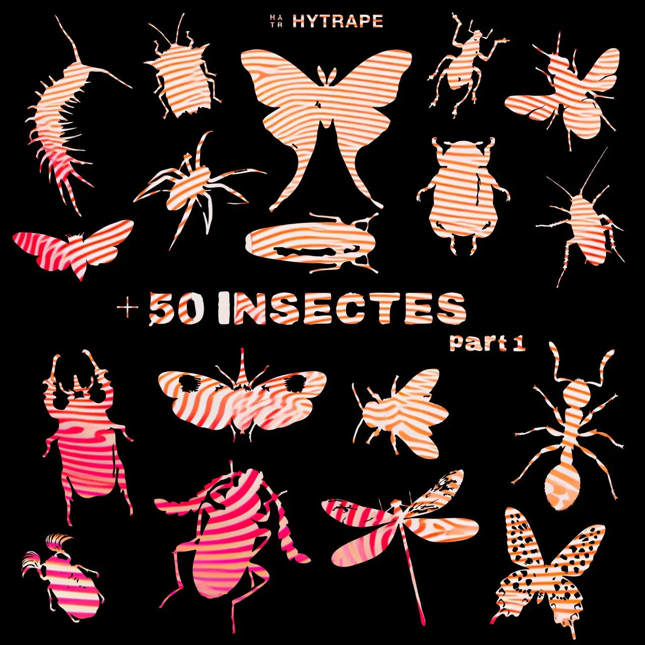 +50 INSECTES VECTORISÉS HYTRAPE