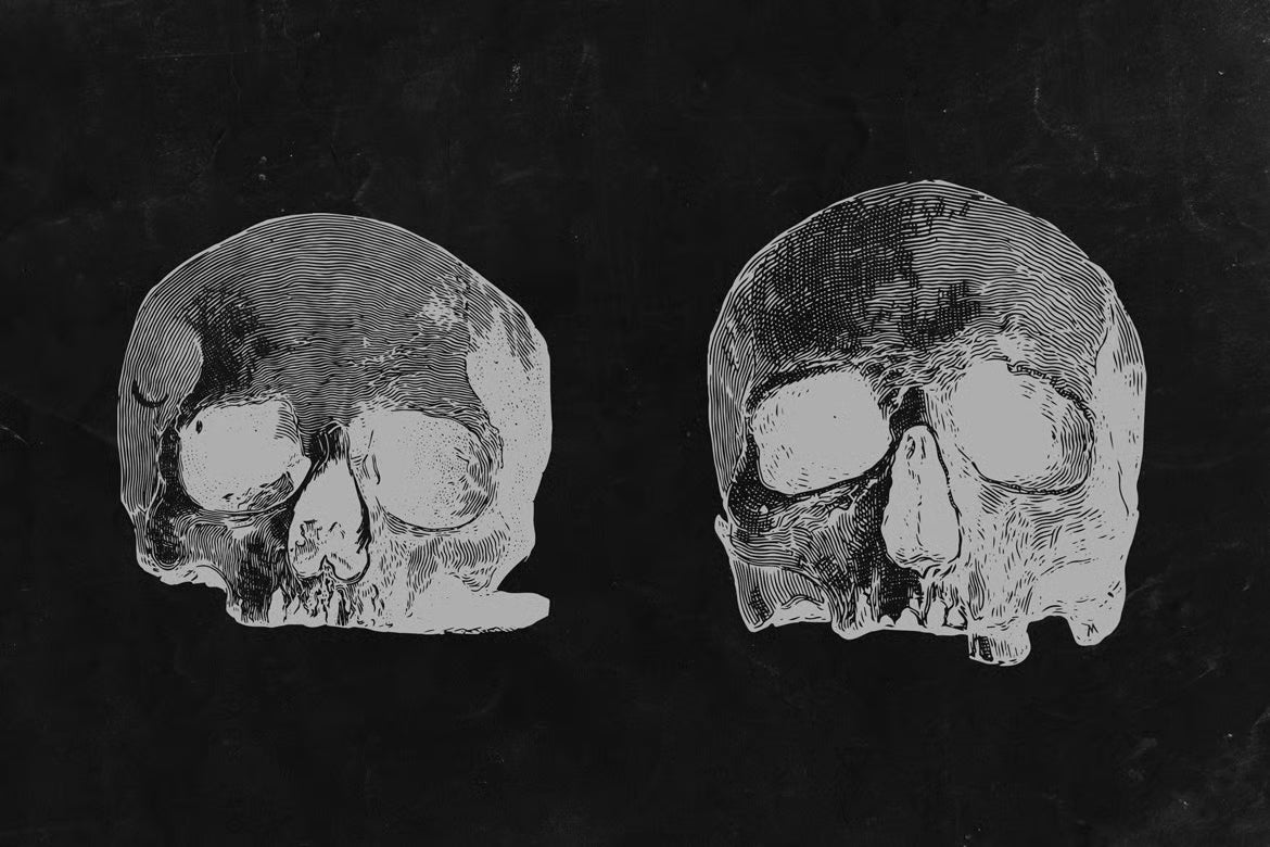 Aperçu principal de Engraved Skulls, ressource Mockups par HYTRAPE
