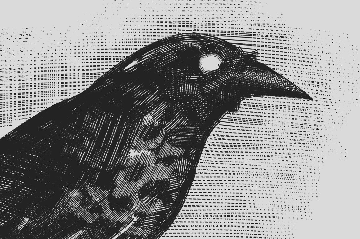 Preview 7 of 7 of Vintage Engraving Procreate Brushes, digital creative resource by MiksKS