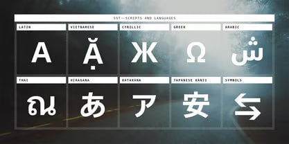 Aperçu 4 sur 6 de SST Font Family - Firm, Sharp, Technical & Pure, ressource Fonts par Akira Kobayashi