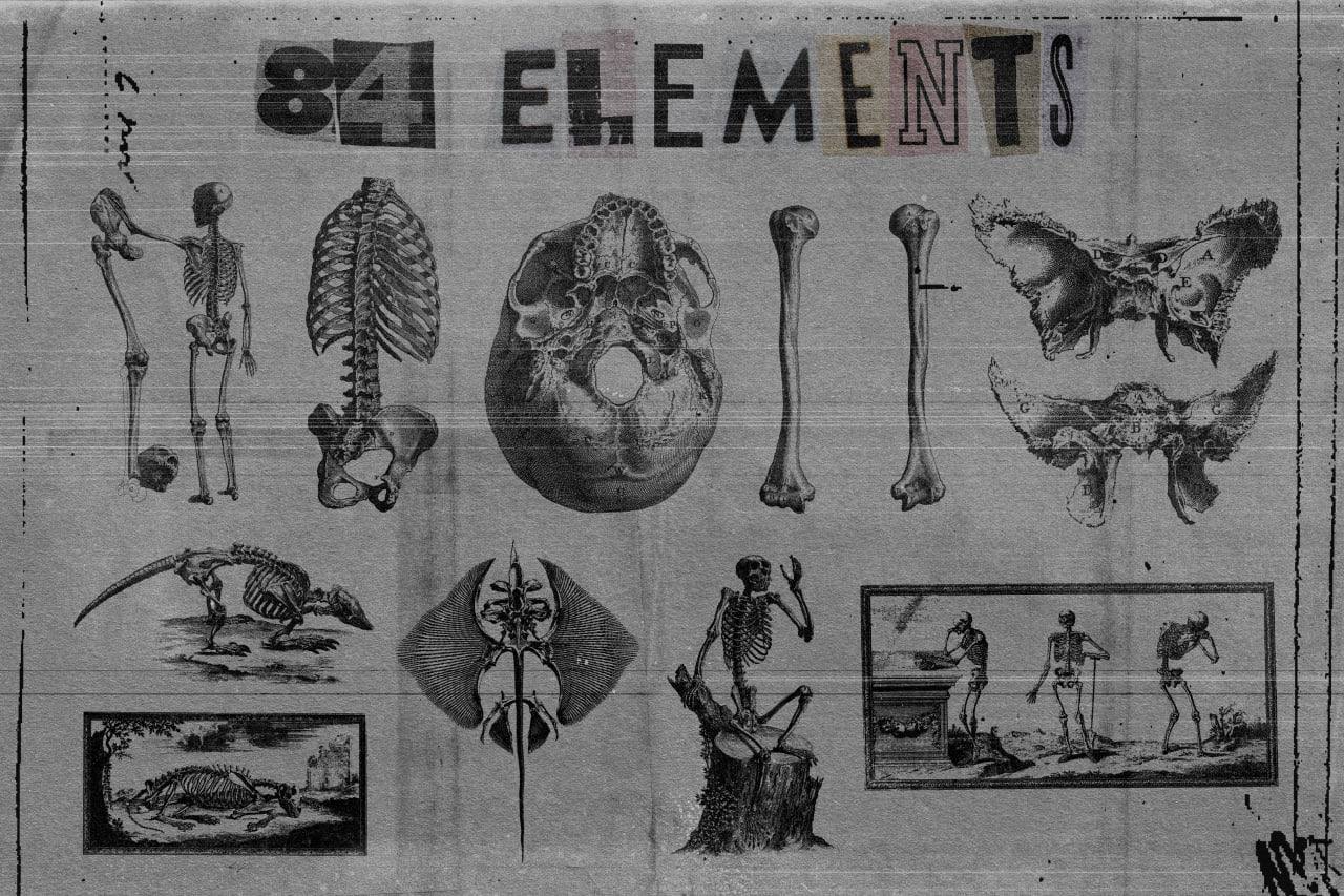 +80 Skeletons Elements