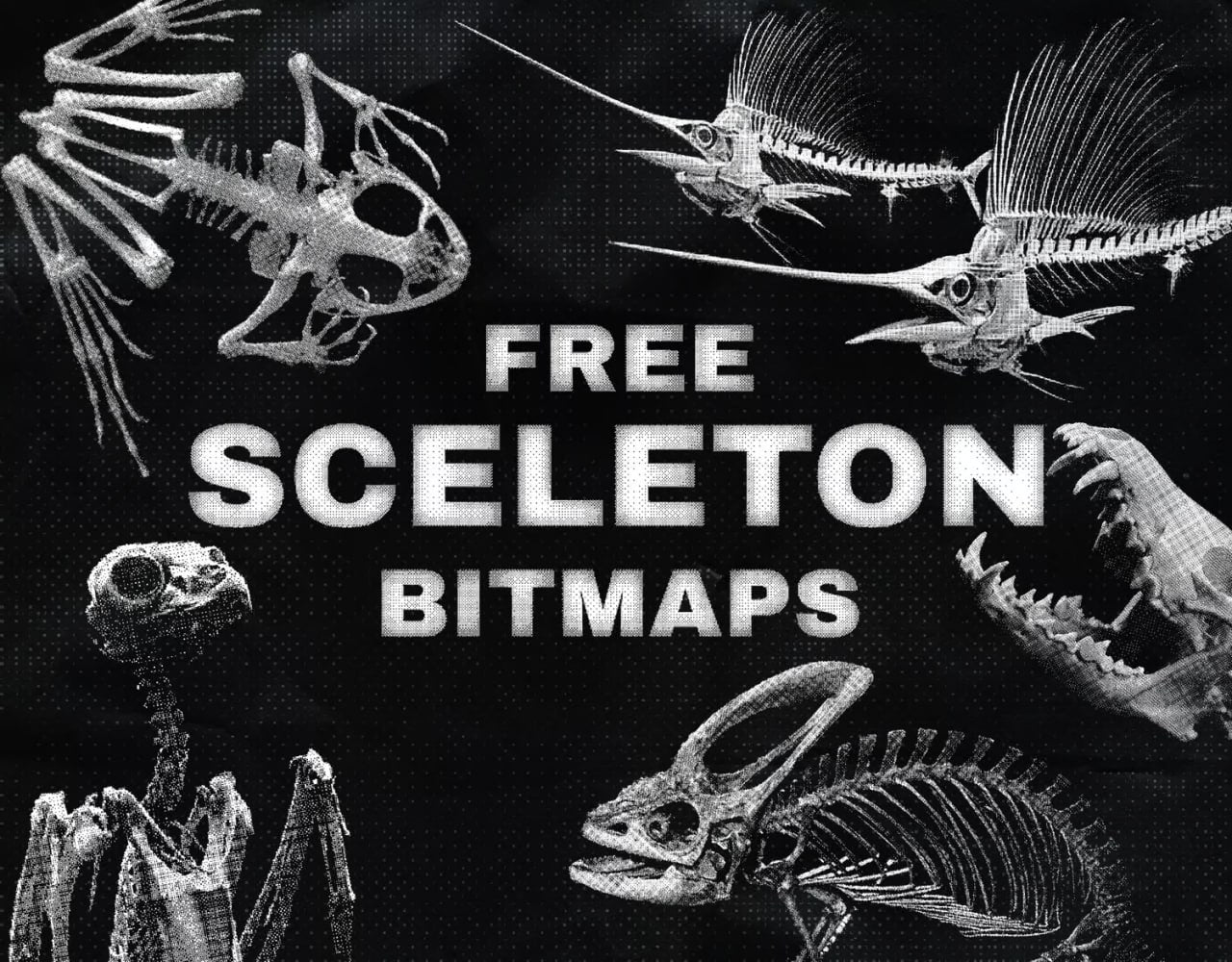 +50 formes de squelettes (bitmap)