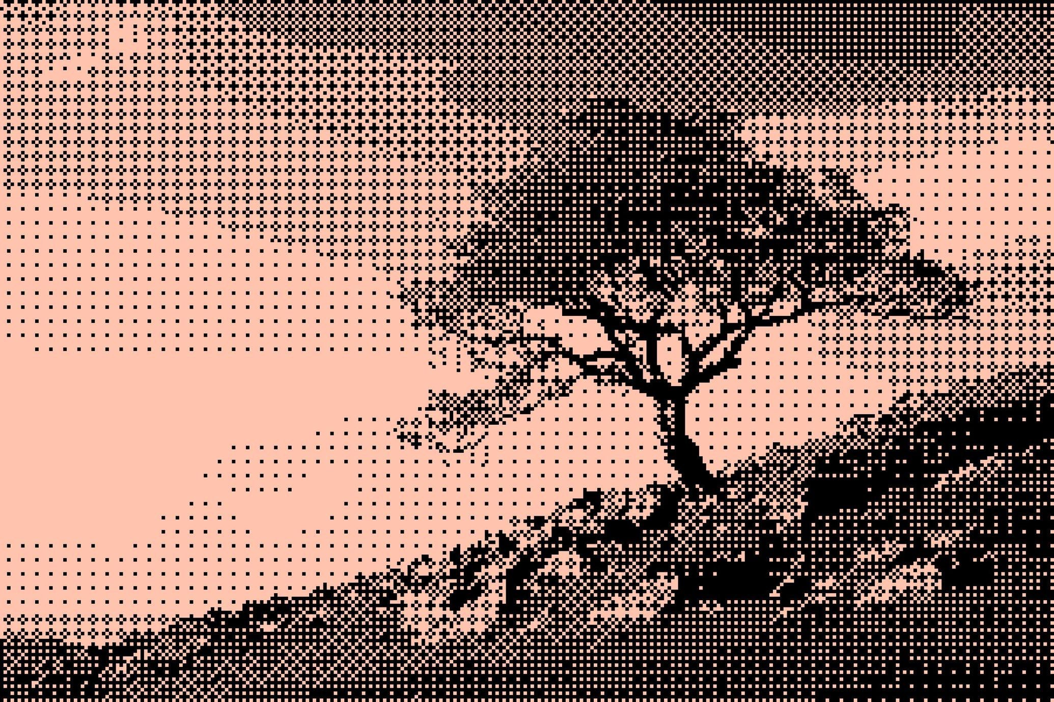 Dithered Bitmap Photo Effect