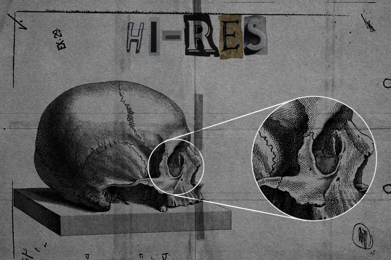 +80 Skeletons Elements