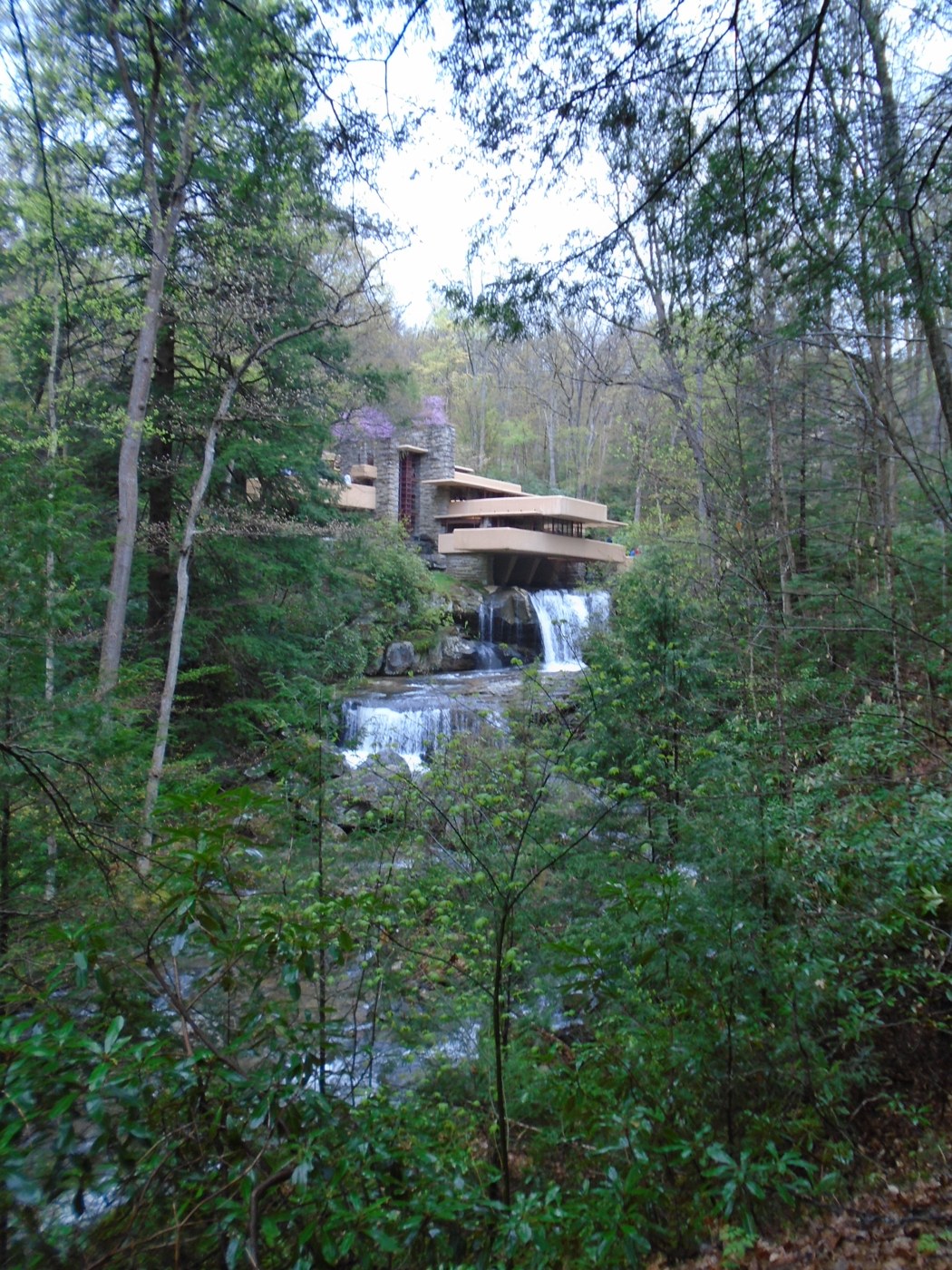 Fallingwater dans son paysage boisé : la maison et la cascade de Bear Run.