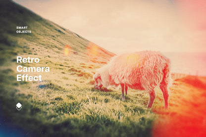 Retro Camera Photo Effect