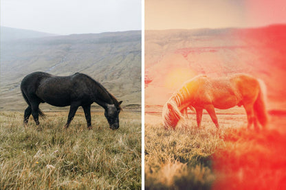 Retro Camera Photo Effect